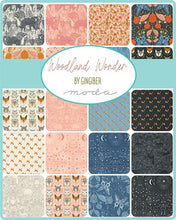 Load image into Gallery viewer, Woodland Wonder by Gingiber for Moda soft blue peach pink hues moonlight stars foxes owls tone-on-tone cotton print quilting fabric