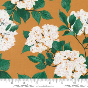 Love Letter LIzzy House Moda Fabrics quilting cotton amber gold background with white elderberry flower blossoms and dark green leaves and stems floral