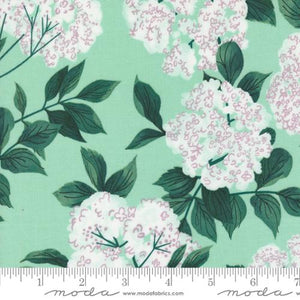 Love Letter LIzzy House Moda Fabrics quilting cotton seafoam green background with white elderberry flower blossoms and dark green leaves and stems floral