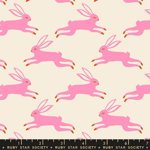 Backyard Bunny Run in Flamingo by Sarah Watts for Ruby Star Society