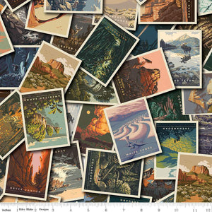 National Parks Postcard Toss by Riley Blake Designs