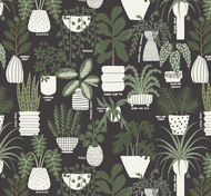 Cloud 9 organic cotton inner growth planted by Betsy Siber black background fiddle leaf fig bird's nest fern prayer plant alocasia rubber plant polka dot begonia staghorn fern quilting bags garments