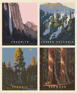 National Parks California Pillow Panel by Riley Blake Designs