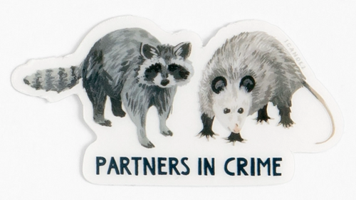 1Canoe2 vinyl sticker partners in crime racoon possum friends