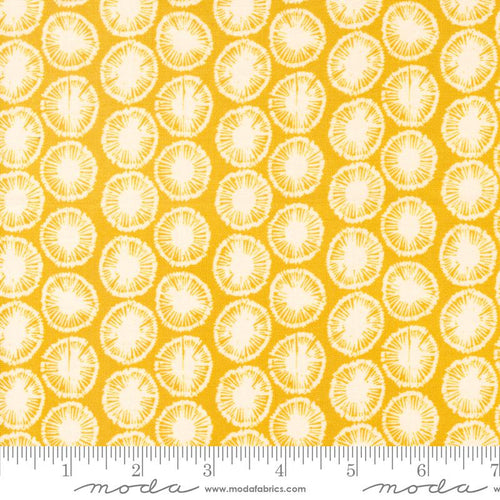 Willow Ambrose Lagoon by 1 Canoe 2 for Moda cotton quilt fabric garments bags golden yellow background white dandelion heads clustered