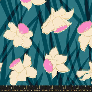 Reverie Metallic Galaxy cream daffodils edged with metallic gold on blue green deep teal background Ruby Star Society for Moda fabrics high quality cotton quilt weight fabric for quilts bags garments clothing sewing projects Large white and pink daffodils with metallic accent edge on a blue back ground.