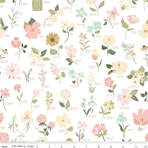 Wild and Free by Gracey Larson for Riley Blake Designs  quilt weight cotton fabric for quilting sewing garments bags white background botanical drawings of different flowers and name pink yellow cream aqua flowers and mutli-colored green leaves