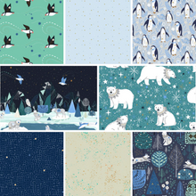 Load image into Gallery viewer, Arctic by Dashwood Fabrics Curated Fat Stack x 8
