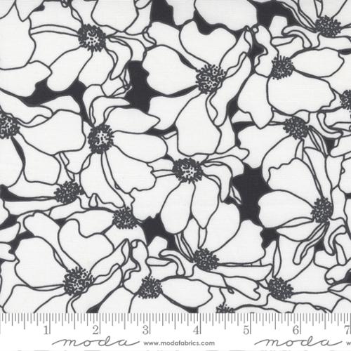 This monochromatic fabric features large magnolia flowers on a black background Moda Create by Alli K charcoal black and white line drawing of magnolia flowers high quality quilt fabric sewing bags garments clothing 