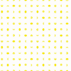 Delightfully bright yellow lemons, in slices and whole are in a grid pattern a white background. 