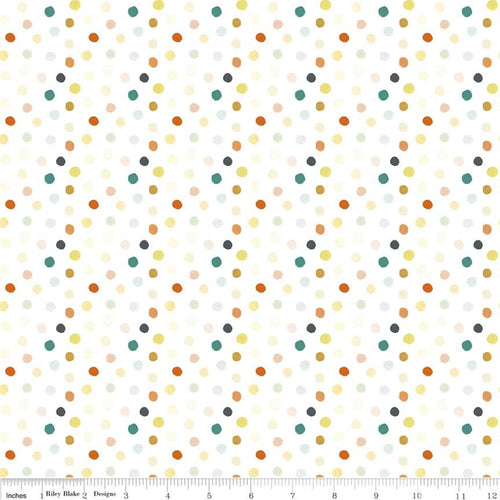 The Littlest Family's Big Day Collection by Emily Winfield Martin for Riley Blake Designs cotton quilt garment fabric material multi-colored polka dot irregular