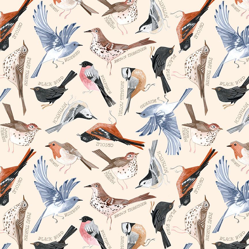Dear Stella Bird Song by Rae Ritchie Oriole Wood Thrush Black Bird Yellow Titmouse Bull Finch Bluebird multi-color birds with name written in soft brown on a soft cream background cotton quilt weight fabric for quilts garments bags sewing projects